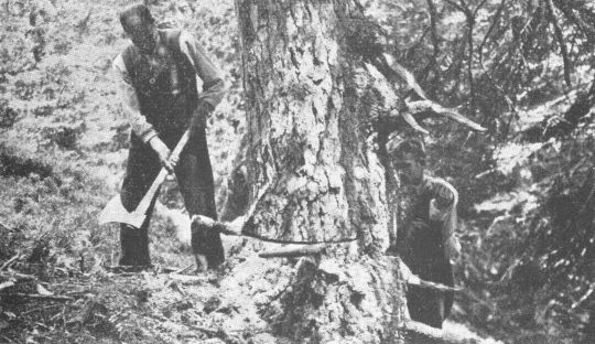 Foto Fällen: Sägen und Treiben