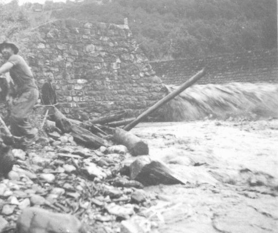 Foto Bergung von gestrandetem Holz