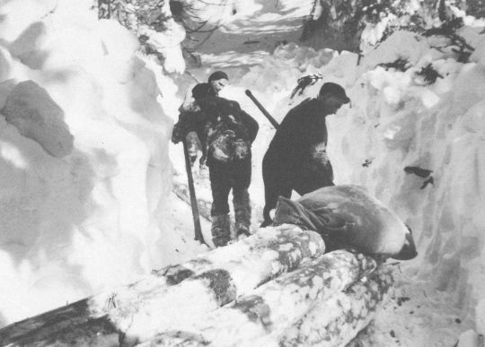 Foto Laden des Schlittens