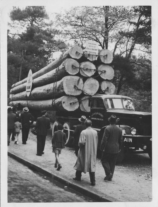 Foto Sattelschlepper an der Exposition Internationale du Bois in Lyon