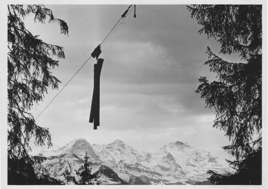 Foto Transport von Langholz per Verfahren mit Tragseil