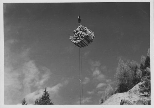 Foto Transport von Brennholz per Verfahren mit Drahtseilzug - Querseilstütze