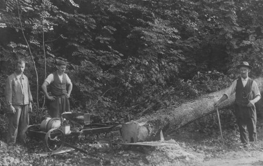 Foto Holzfällung mit der Motor-Quersäge  "Dubler" im Stadtwald Rapperswil