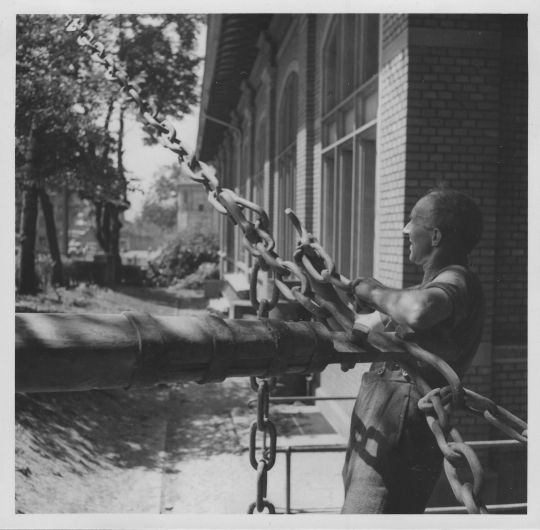 Foto Holzernte in der Stadt