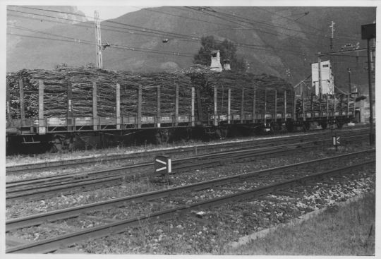 Foto Transport mit der öffentlichen Eisenbahn