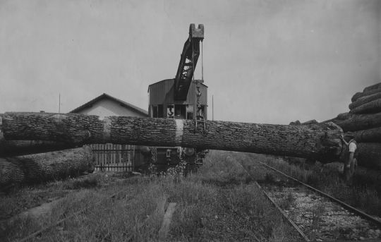 Foto Transport mit der öffentlichen Eisenbahn