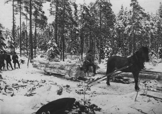 Foto Holztransport mit Einspannerschlitten