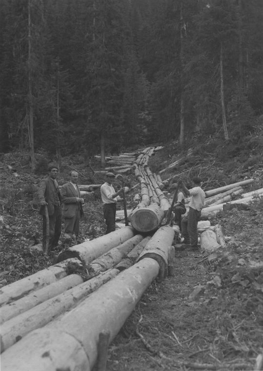 Foto Holztransport mit Stangenriese aus Holz