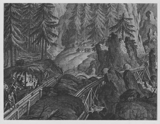 Foto Holztransport mit Stangenriesen