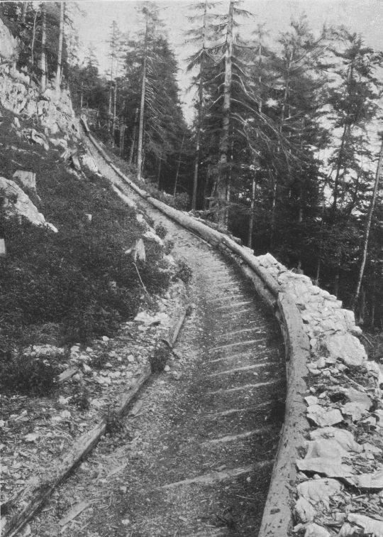 Foto Am Gschlachtenwald-Riesweg im Rettenbach-Reichsforst, bei Ischl