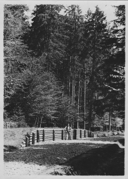 Foto Laderampe im Staatswald Radelfingen bei Aarberg