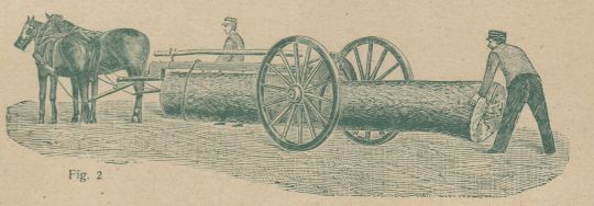 Foto Stammholztransport mit Ahlbornschem Rückewagen