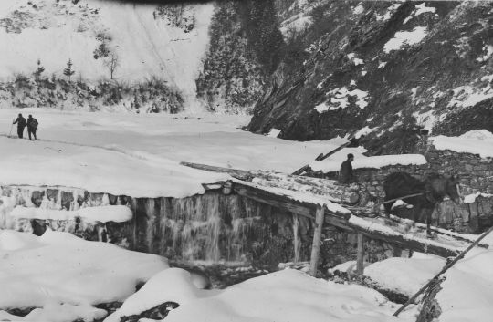 Foto Notbrücke für Holztransport im Fusnatobel