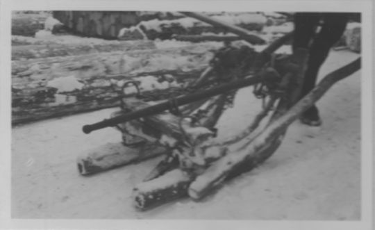 Foto Pferdeschlitten