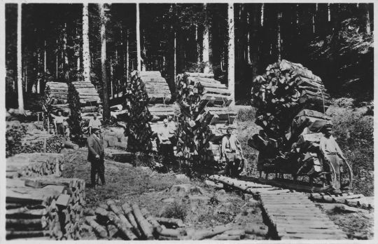 Foto Transport von Brennholz mit Handschlitten im Sommer