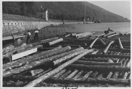 Foto Floss auf dem Zugersee