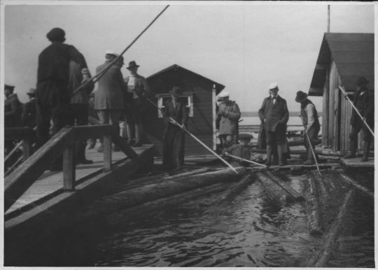 Foto Wassertransport von Langholz