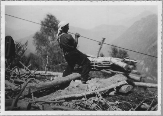 Foto Brennholztransport mit Drahtseilriese