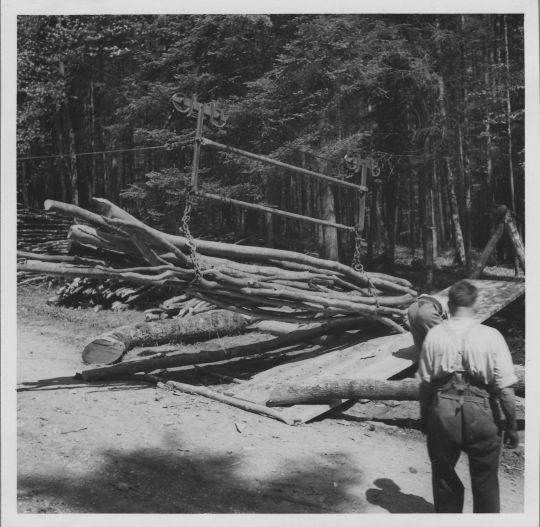 Foto Brennholztransport mit Drahtseilriese