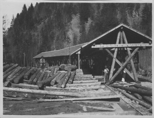 Foto Zwischenstation der Drahtseilriese der Forstverwaltung Feldkirch