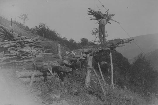Foto Drahtseilriese für Brennholztransport