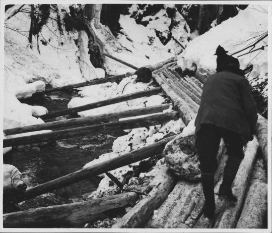 Foto Riesen von Langholz