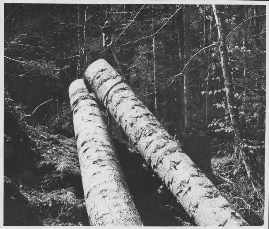 Foto Seitliches Heranziehen der Last an eine Wyssen-Seilbahn.