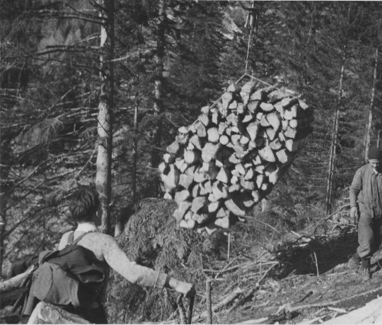 Foto Brennholztransport im Raspilletal