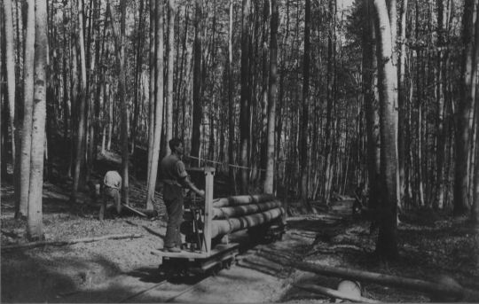 Foto "Waldeisenbahn im Sihlwald", "Waldarbeiter und Waldeisenbahn"