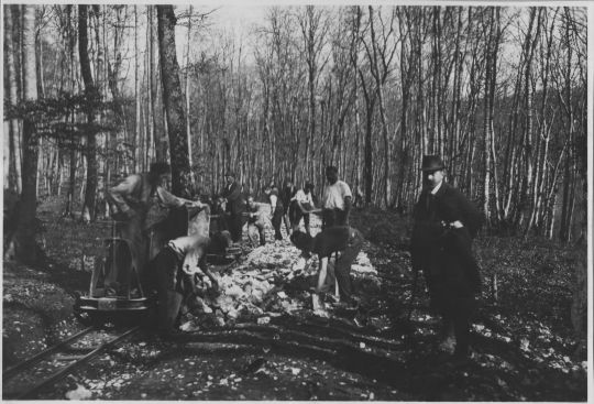 Foto Strassenbau von Forstwegen