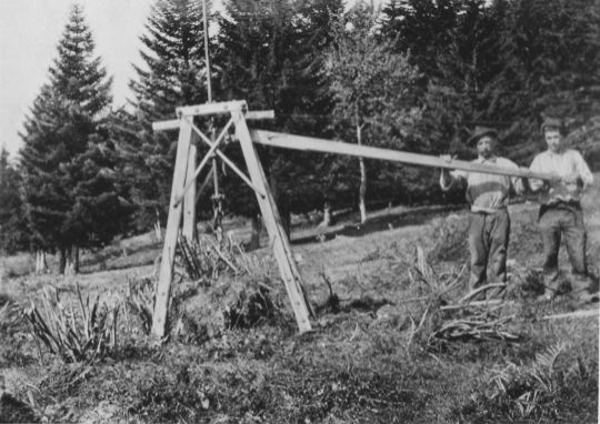 Foto Rodemaschine zur Vertilgung der Hasel