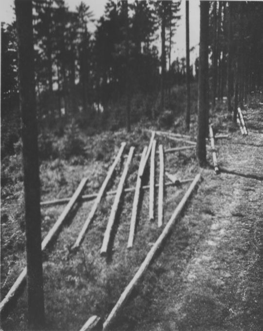 Foto Ausbringung von Langholz