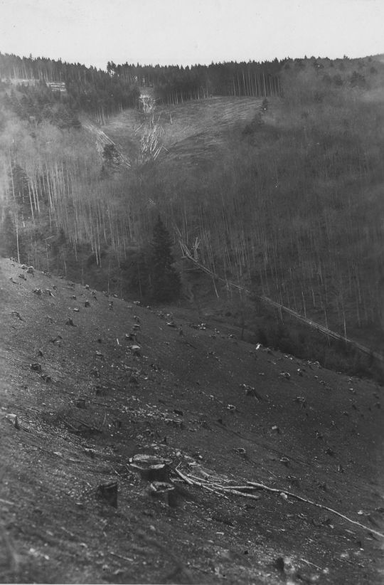 Foto Riesen von Langholz