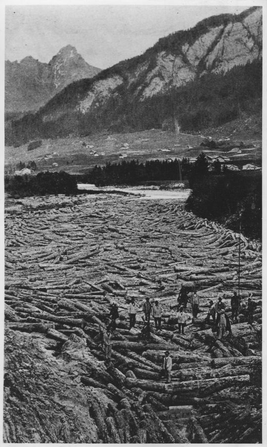 Foto Holztrift in der Saane: Fang von 9000 Stämmen in der Chaudanne