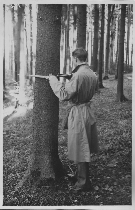 Foto Versuchsanordnung Fortingenieur Unger zum Kluppieren im Lehrrevier