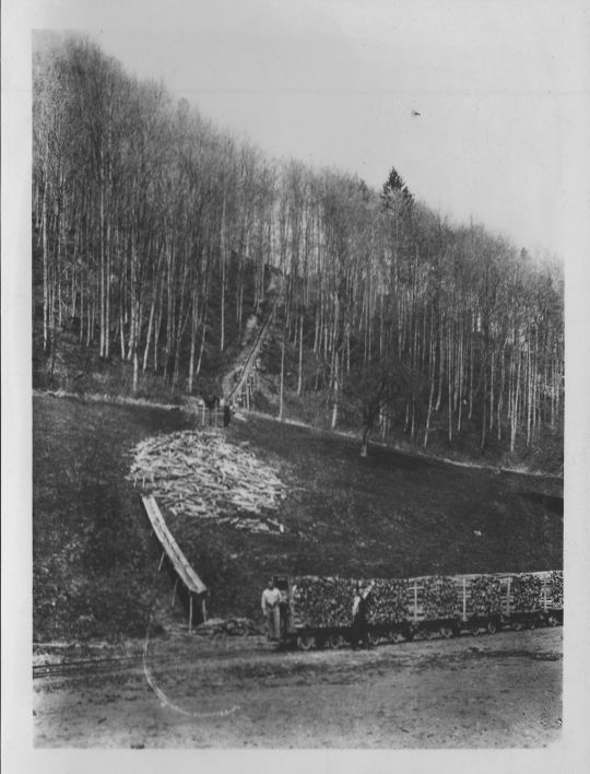 Foto Brennholztransport mit Stangenriesen und Waldbahn im Sihlwald