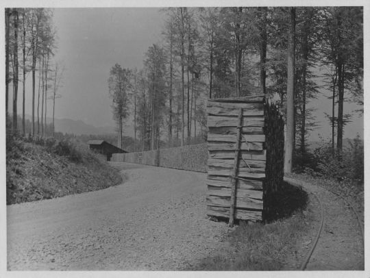 Foto Brennholzbeige im Sihlwald