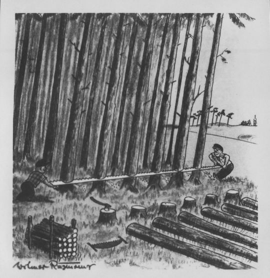 Foto Vorschlag zur Vermehrung der Brennholzrüstung