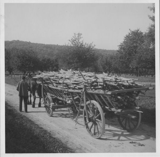 Foto Holztransport mit pferdegezogenem Wagen