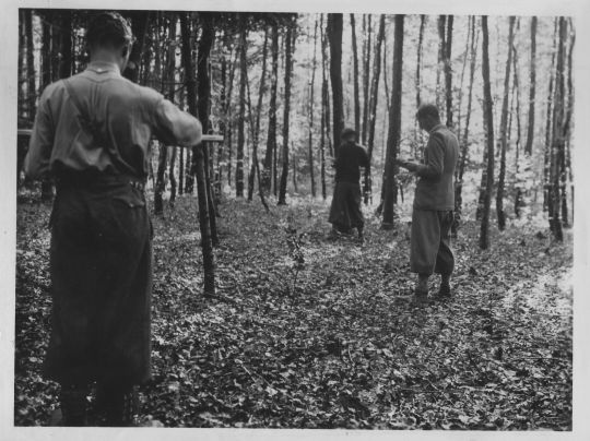Foto Kluppierungsgruppe im Lehrrevier