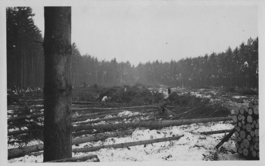 Foto Rodung, Embrach