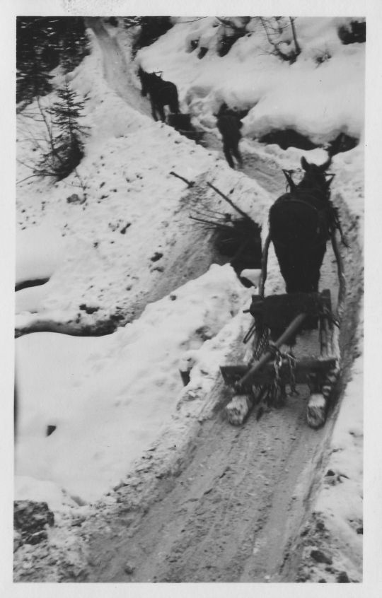 Foto Leere Schlitten fahren bergwärts