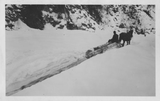 Foto Holztransport mit pferdegezogenem Schlitten im Schiersetobel