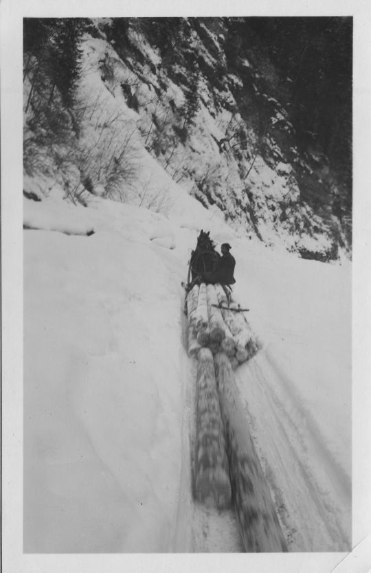 Foto Holztransport mit pferdegezogenem Schlitten im Furnatobel