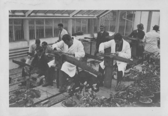 Foto Erster Werkzeugkurs der Forstschule unter Leitung von Forsting. Brodbeck