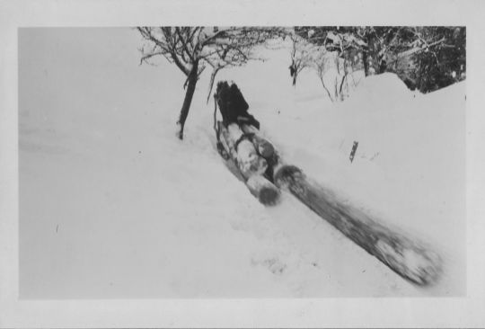 Foto Holztransport mit pferdegezogenem Schlitten
