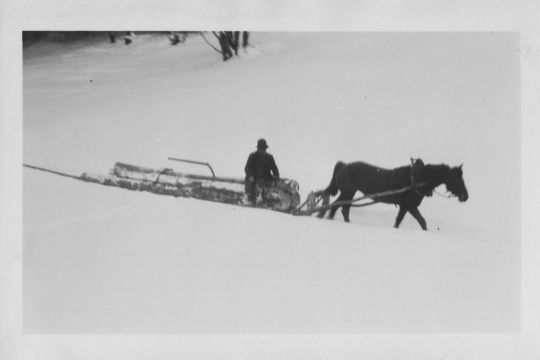 Foto Holztransport mit pferdegezogenem Schlitten