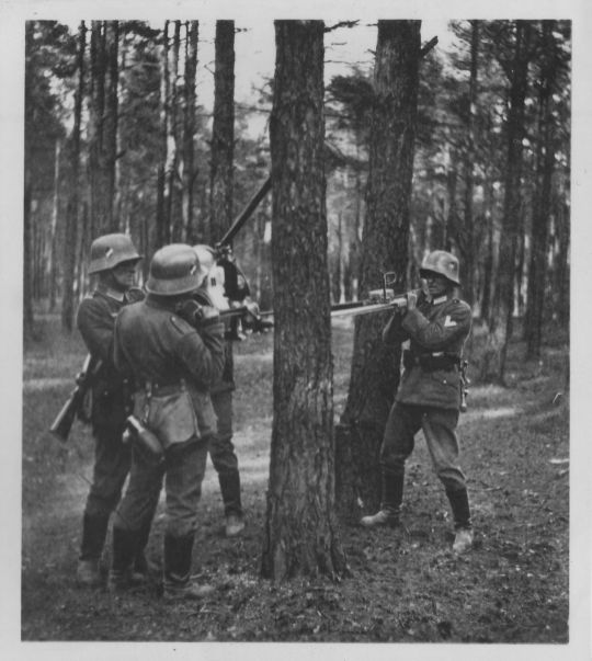 Foto Deutsche Pioniere mit Motorsäge fällen eine Föhre