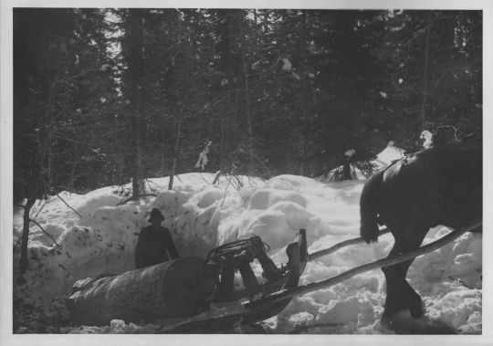 Foto Transport mit Schlitten