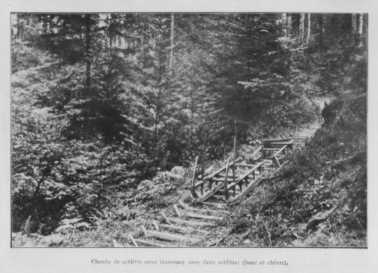 Foto Leerer Handschlitten (bouc et chèvre) auf einem befestigten Schlittweg im Sommer